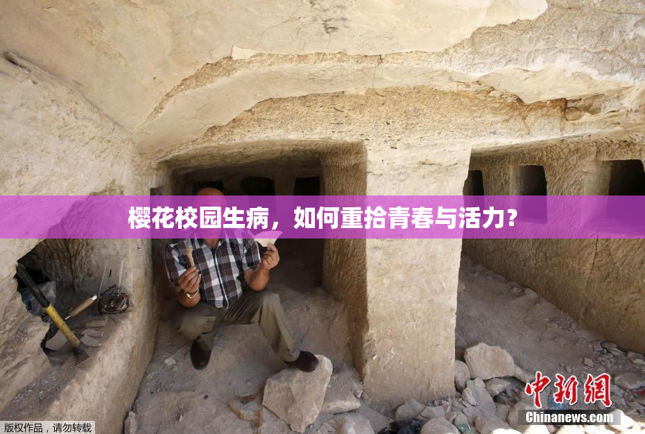 樱花校园生病，如何重拾青春与活力？